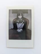 The image