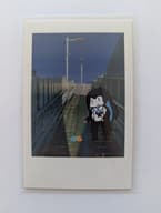 The image
