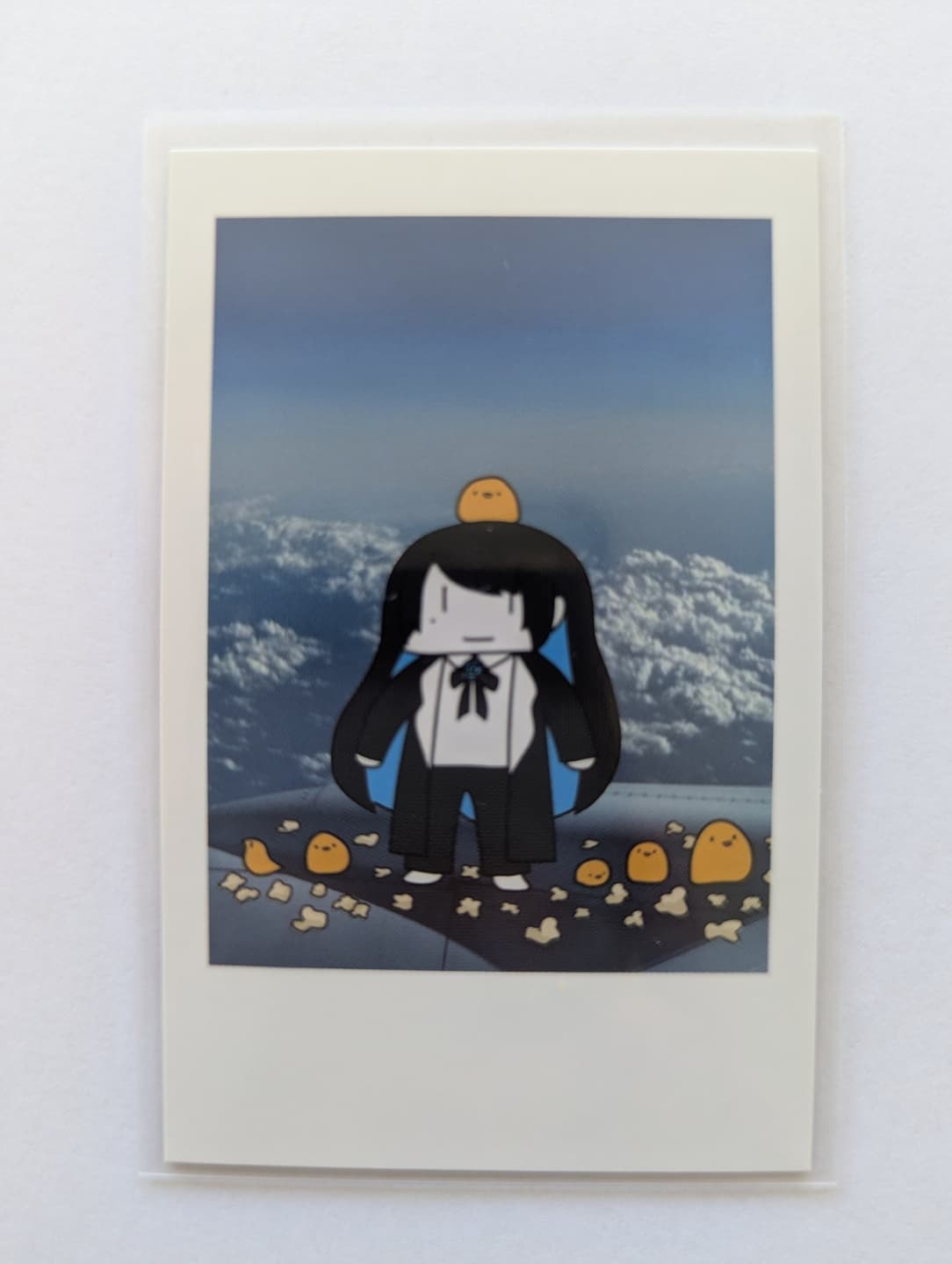 The image