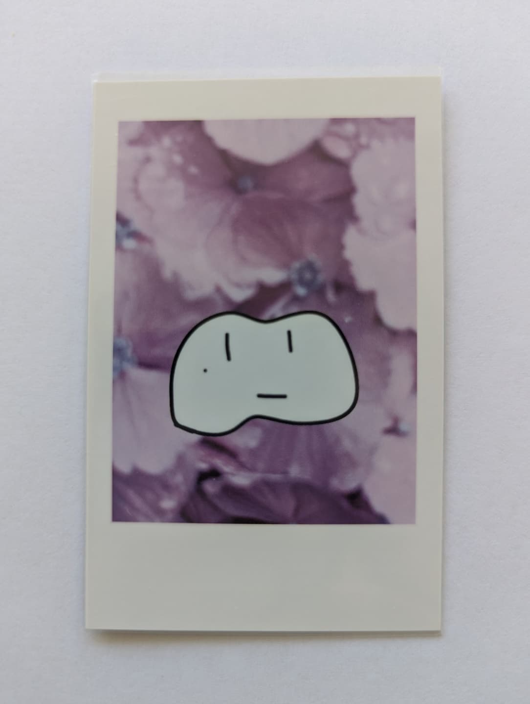 The image