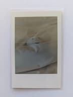 The image