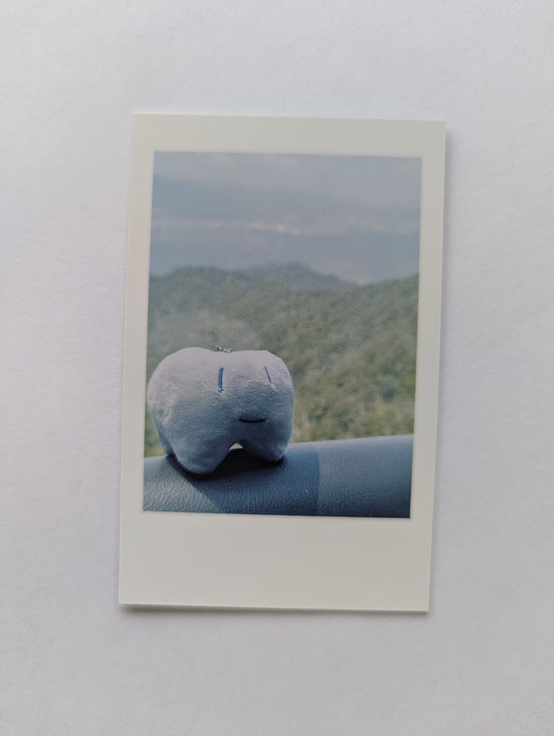The image